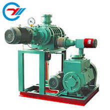 上海岩湖真空泵制造厂 专业生产与销售真空泵及真空设备解决方案