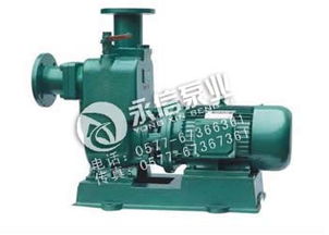 ZXL型直联式自吸离心泵 高效清水自吸泵的性能参数与市场价格解析