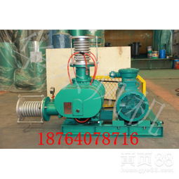 蚌埠负压罗茨风机与真空泵价格解析 如何选择合适的厂家直销方案