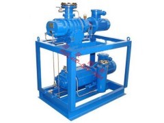 ZBK-16型罗茨真空泵及东北水环罗茨真空机组的价格与商业应用